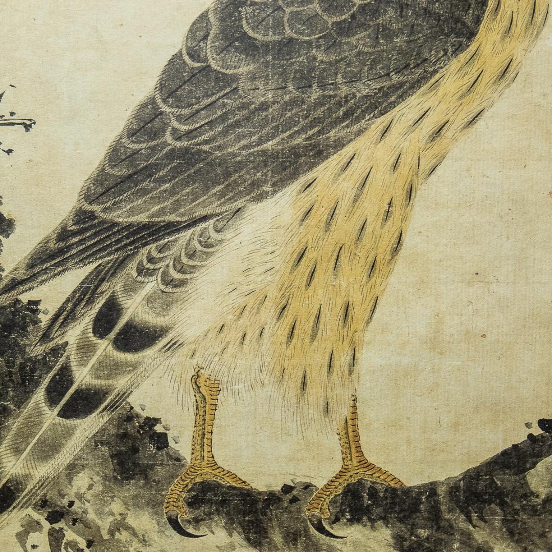 掛軸-1011　土岐頼芸　鷹図　印刷工芸作品　土岐の鷹　国盗り物語