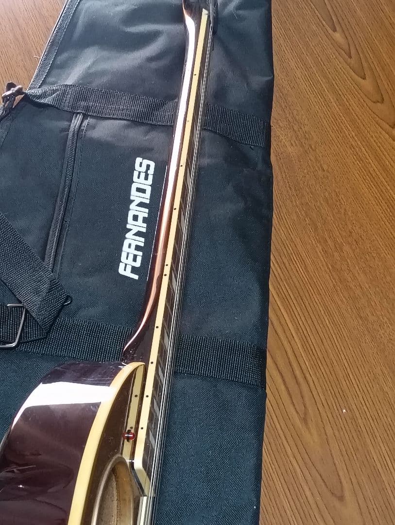 絶版品 FERNANDES ZO-3 イケベ特注 1956GT ゴールドトップ