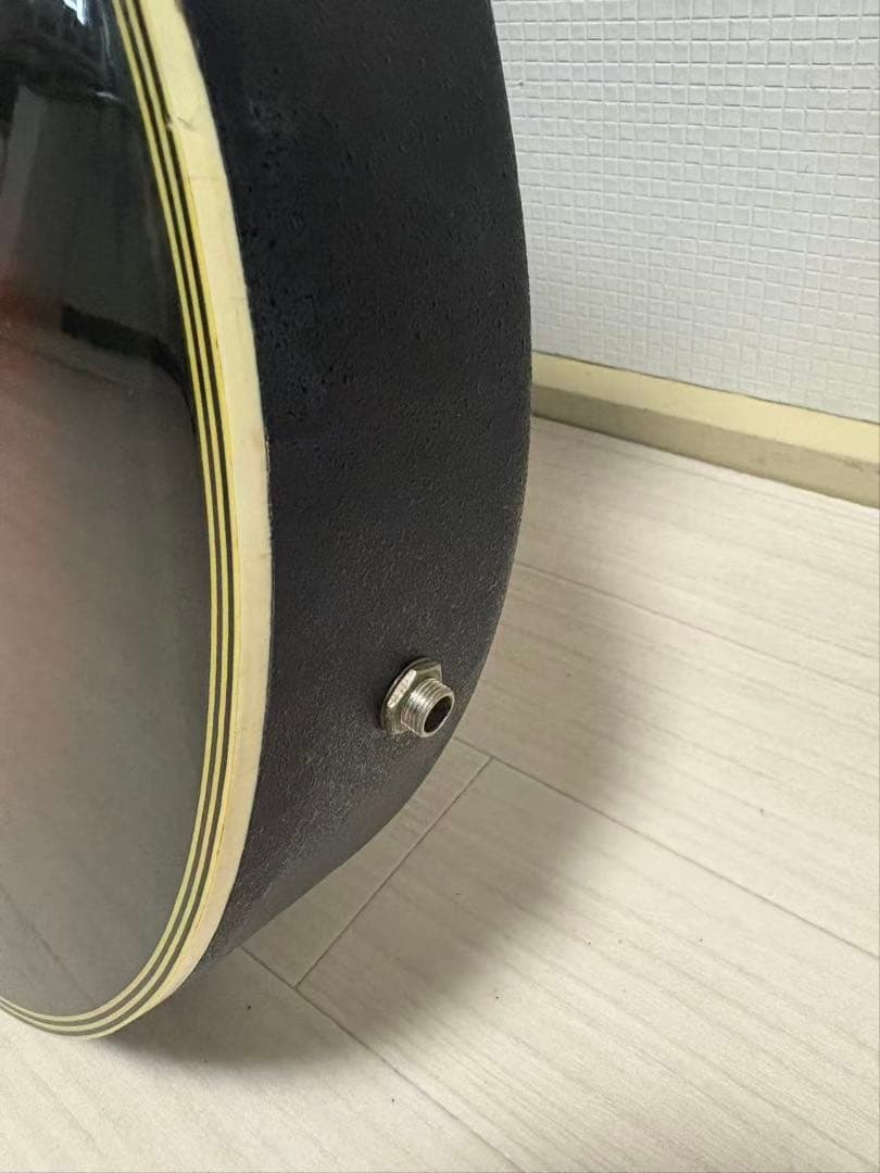 ProMartin EA350BS エレアコ