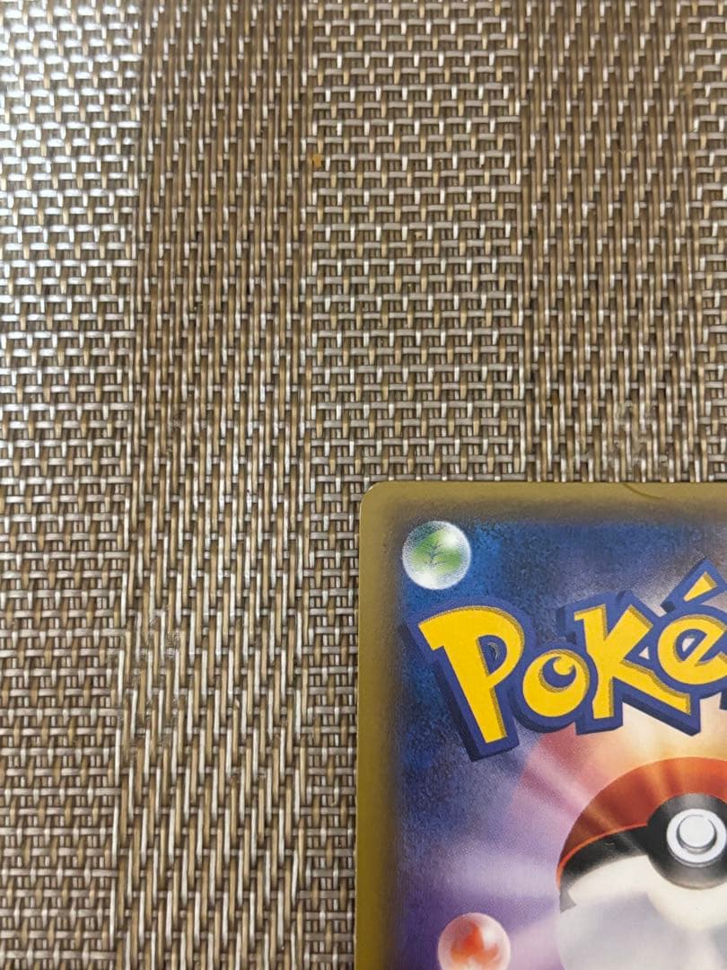 ポンチョを着たピカチュウ レックウザ