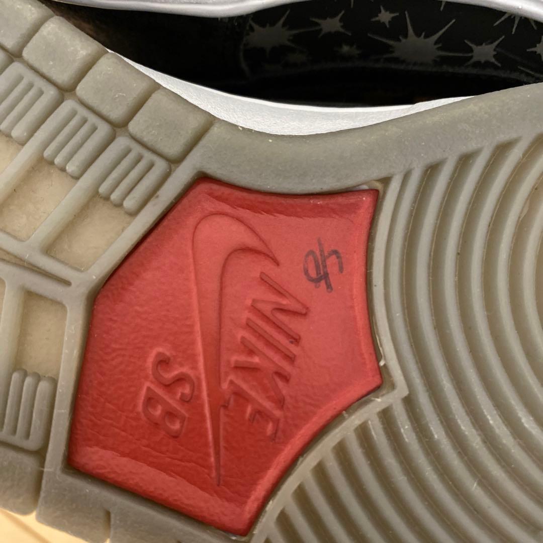 NIKE dunk sb hi ブルックリンプロジェクトパパラッチ8(26cm)