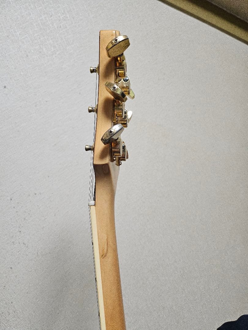 FERNANDES MG-80X　HIDEモデル　モッキンバード