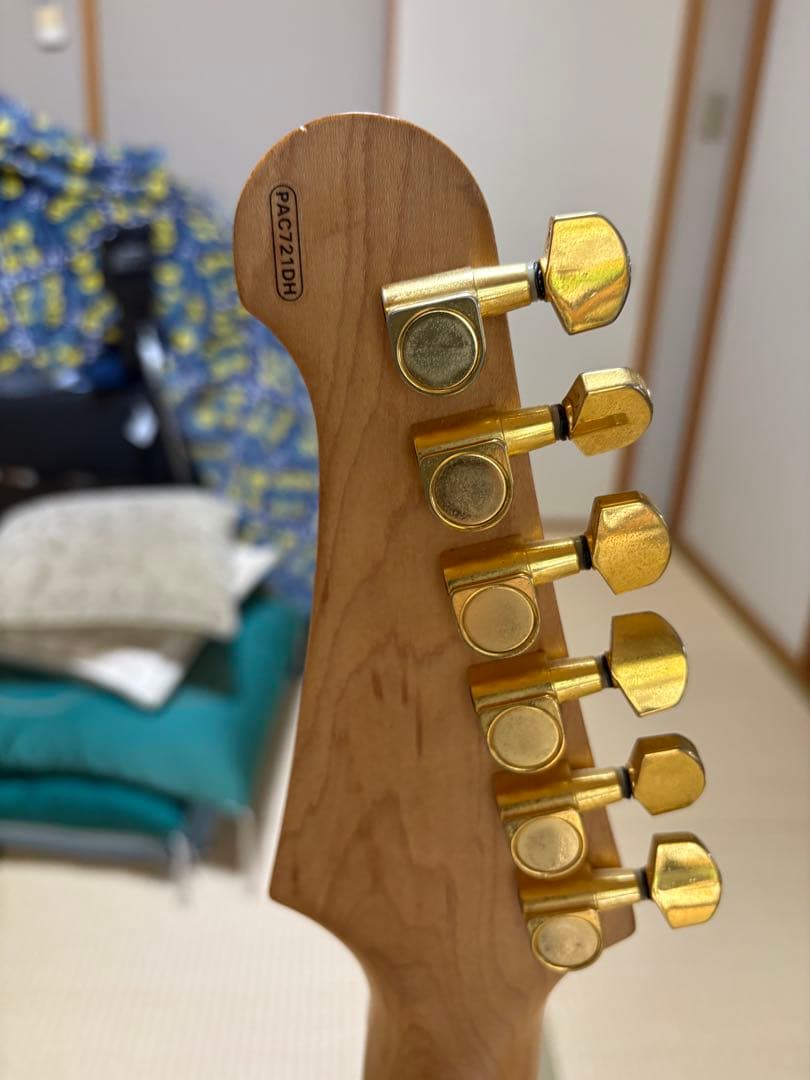 PACIFICA 721DH ディマジオDP158,DP159搭載　良音