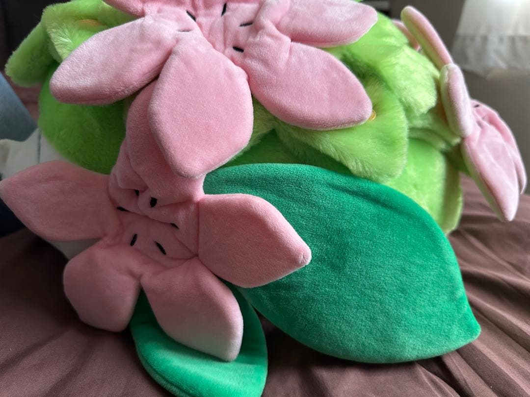 たしページ•*¨*•.¸♬︎