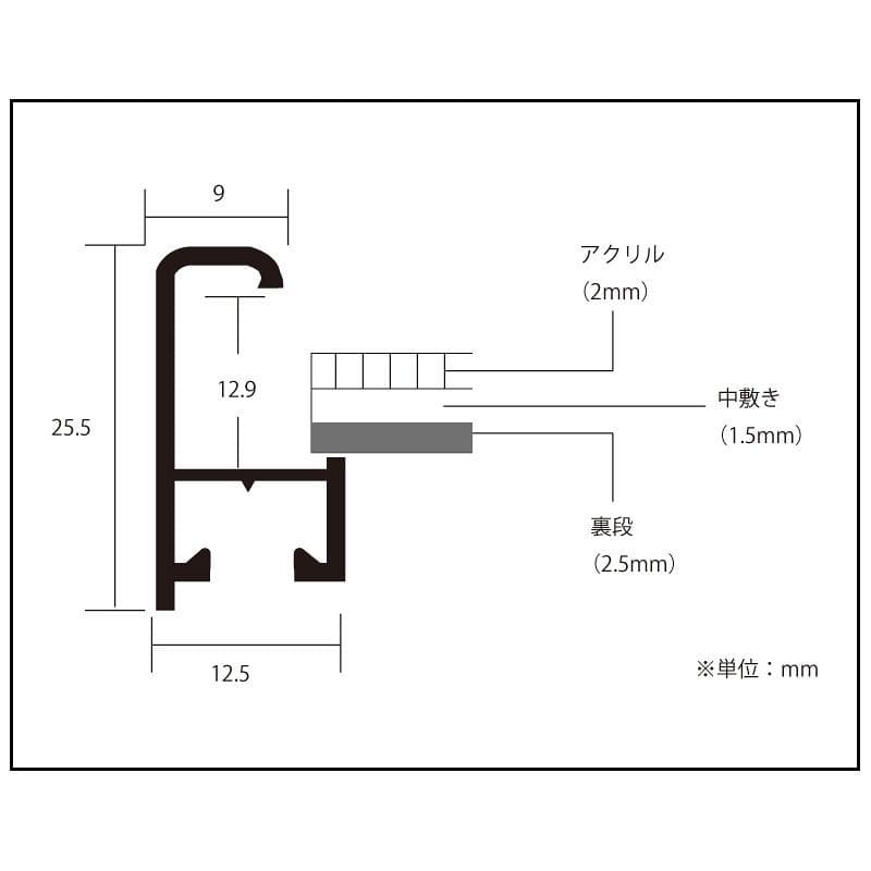 限定15枚/額装/ヘルムートラング/バックステージ手書サイン/エルフィーセモタン