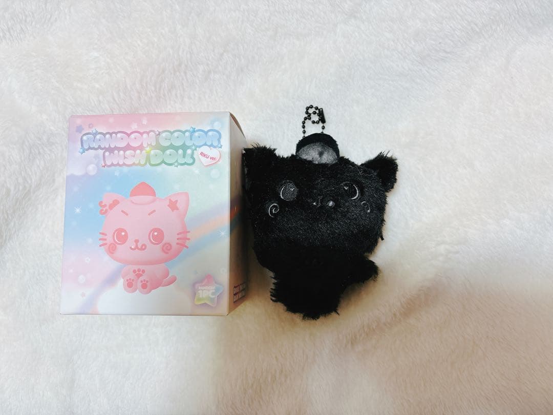 NCTWISH COLOR WISH DOLL リク クリ シークレット 黒 NCTWISH wish