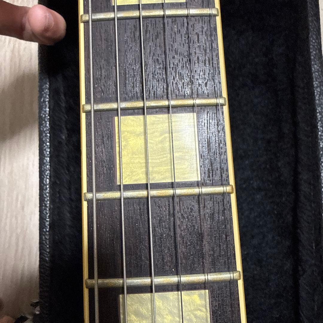 GRECO CEG-100 ホワイト Greco