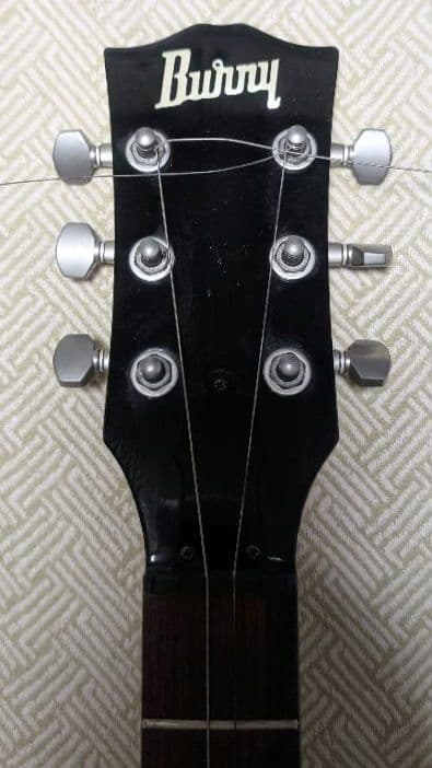 Burny/バーニー LG-480 レスポールタイプ エレキギター（ギター弦付
