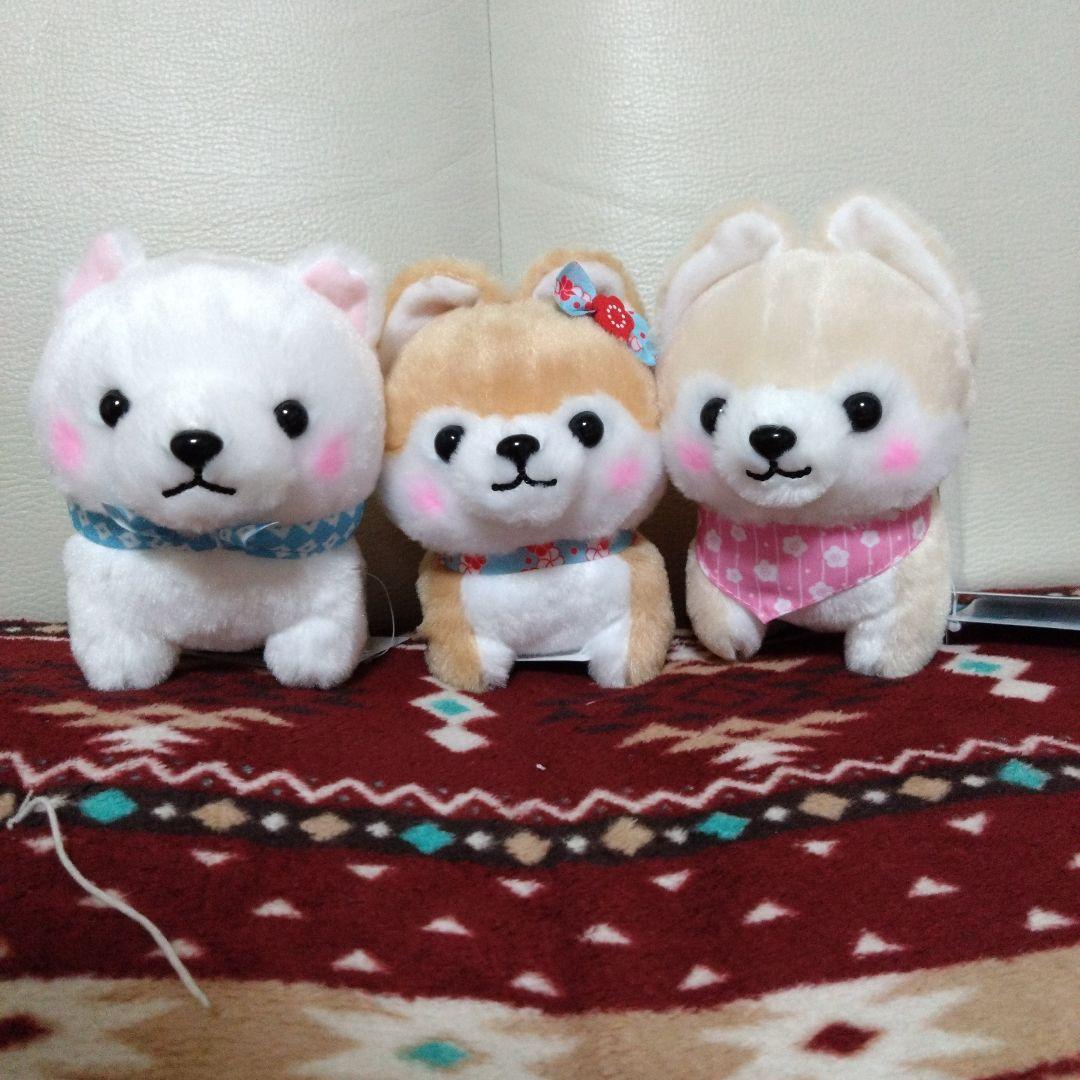 まるたま 豆しば三兄弟2 さすけ/しらたま/小梅 - メルカリ