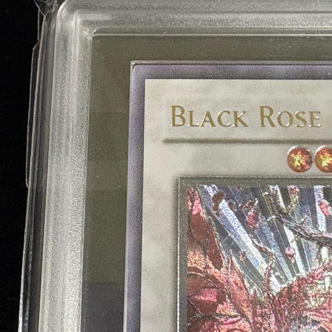 ARS8 北米版 1st ブラックローズドラゴン レリーフ