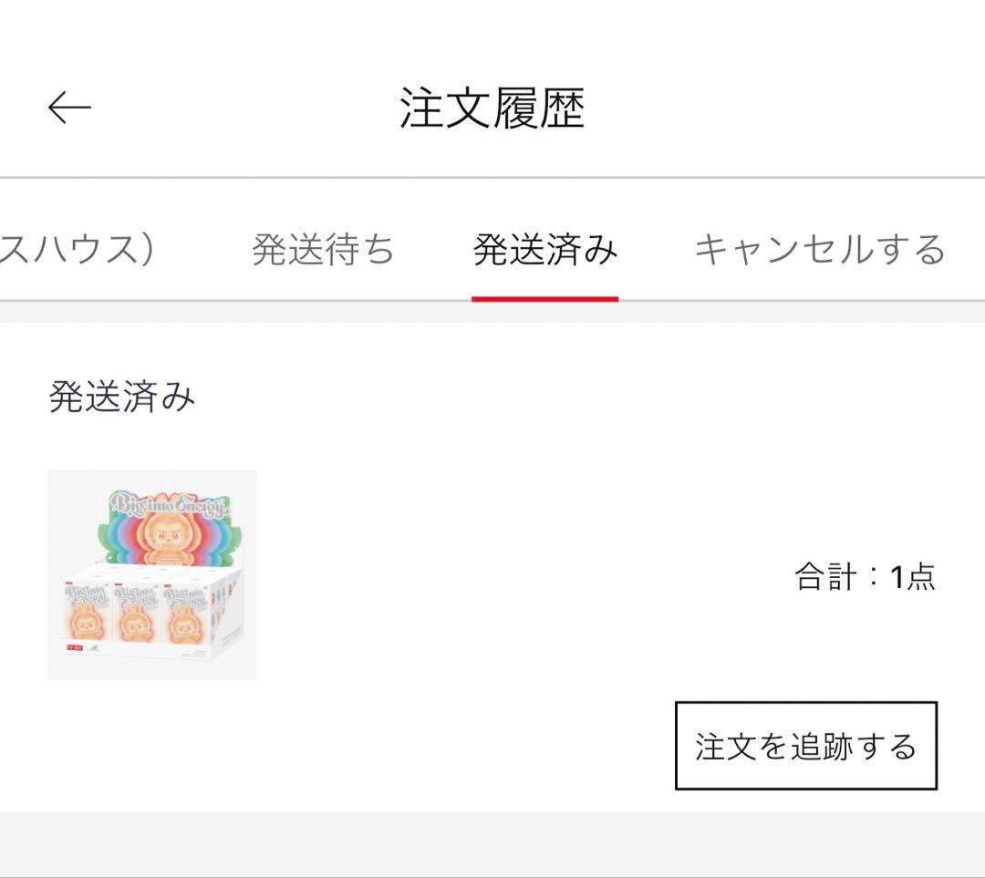 【新品未開封】Big into Energy ラブブシークレット可能性あり！