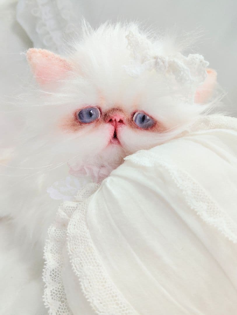 生後1か月♡エキゾチックロングヘア♡子猫ちゃん♡アートドール