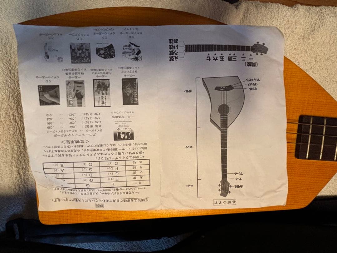 ヤイリ 一期一会 音来(ニライ)ソフトケース付き