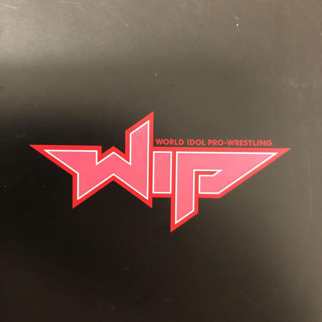 AKB48グループメンバー出演ドラマ　豆腐プロレス　第3話台本