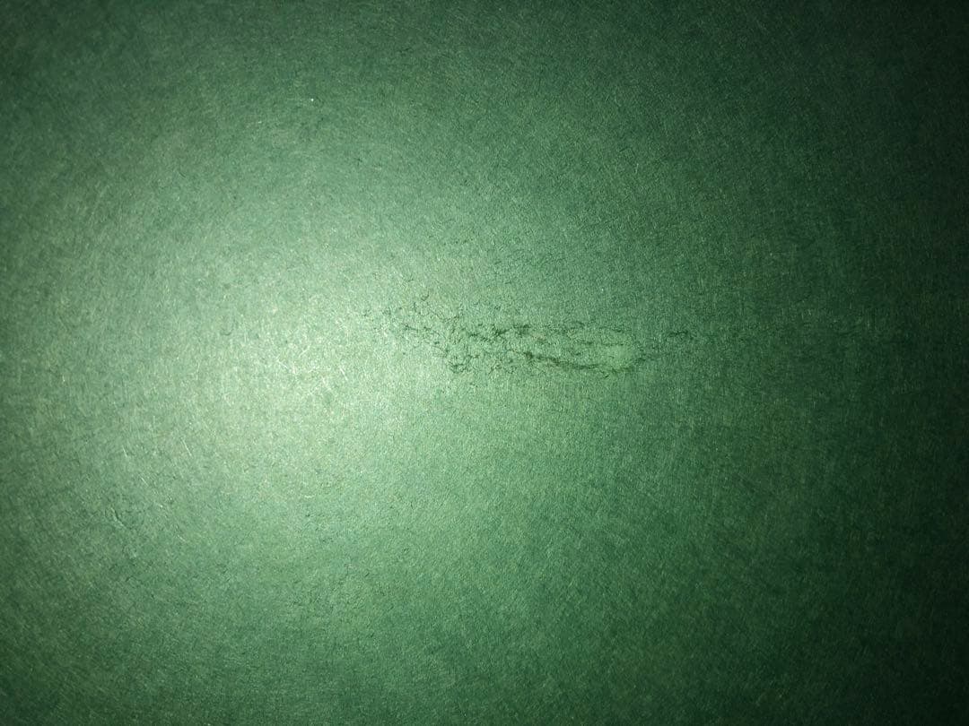 日本画額　ライナー付き　水彩画額縁