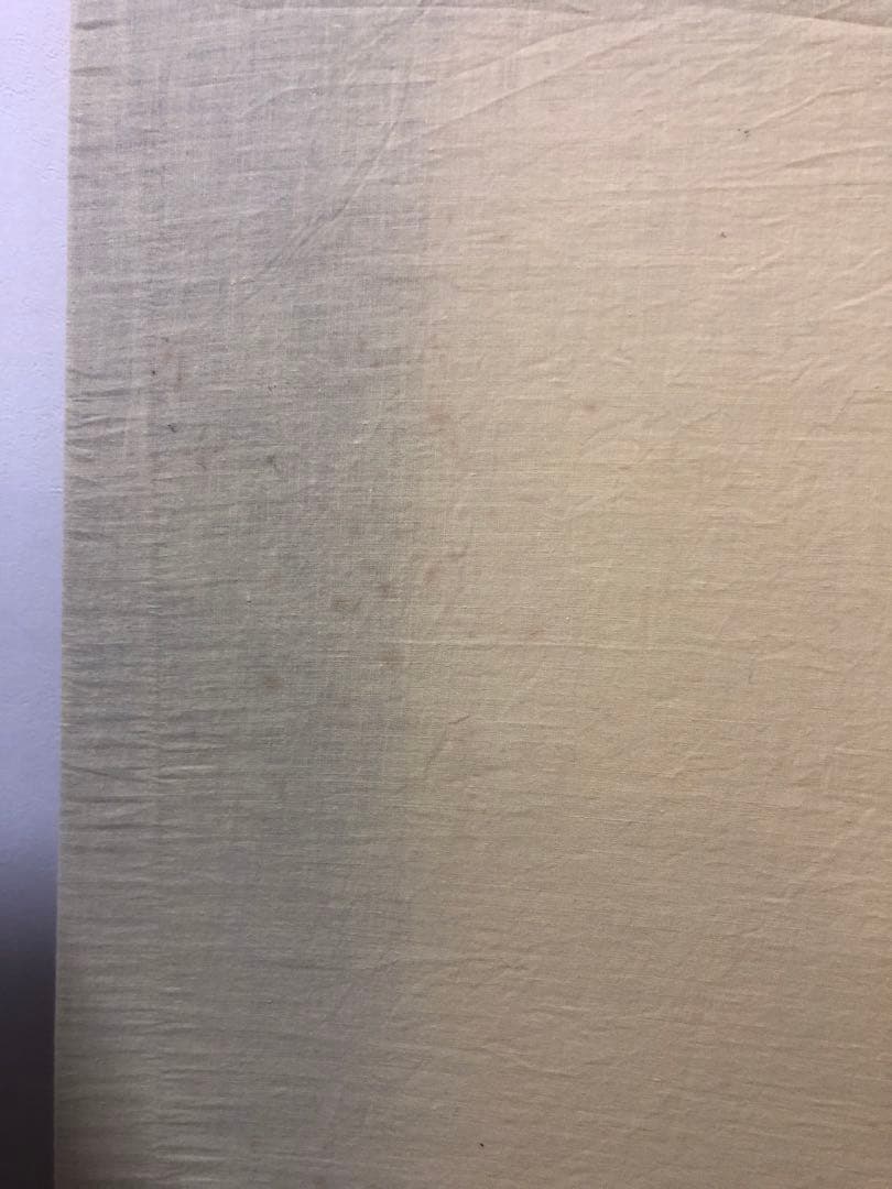 日本画額　ライナー付き　水彩画額縁