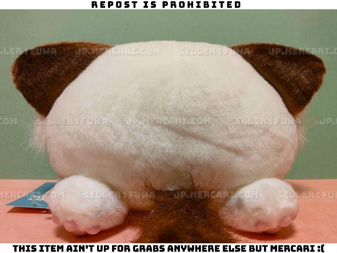 【未使用】ましろ色シンフォニー ぱんにゃ ねこ ぬいぐるみ