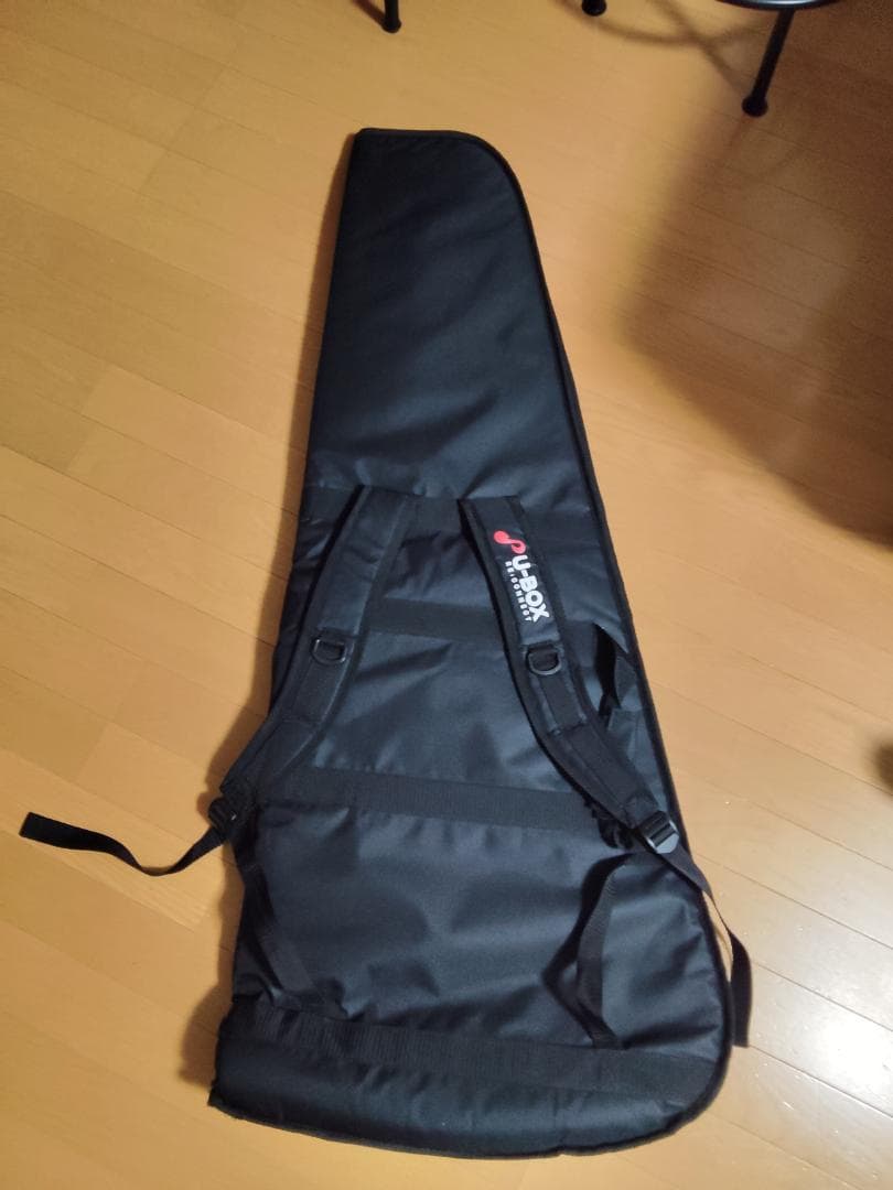 PRS SE Custom 24 Black（2012年製）