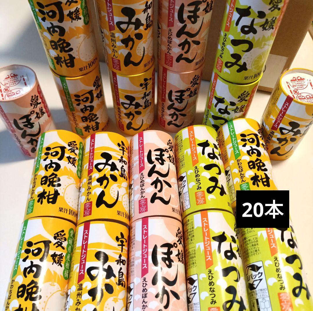 愛媛 愛工房 無添加 みかんジュース 20本セットぽんかん。なつみ