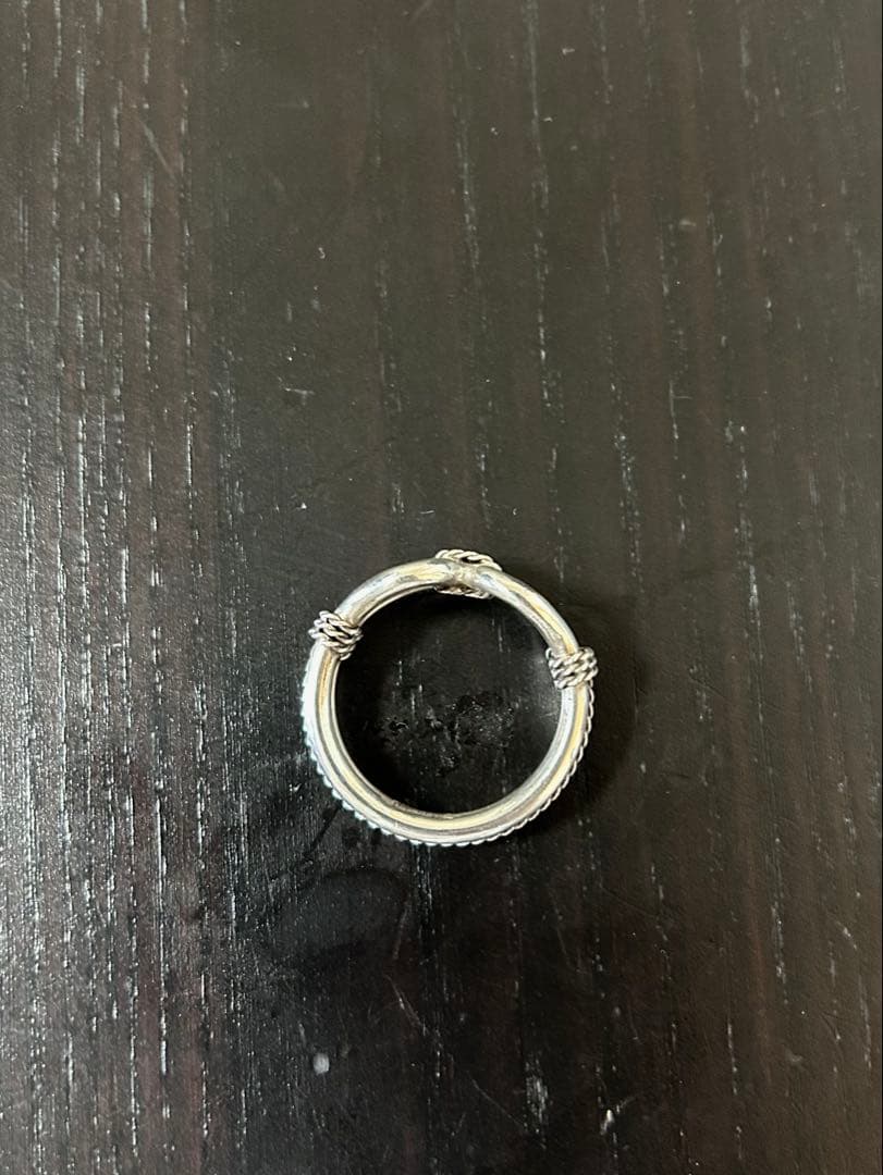 スティーブアルビソ　ホースウィスパラーリング　27号