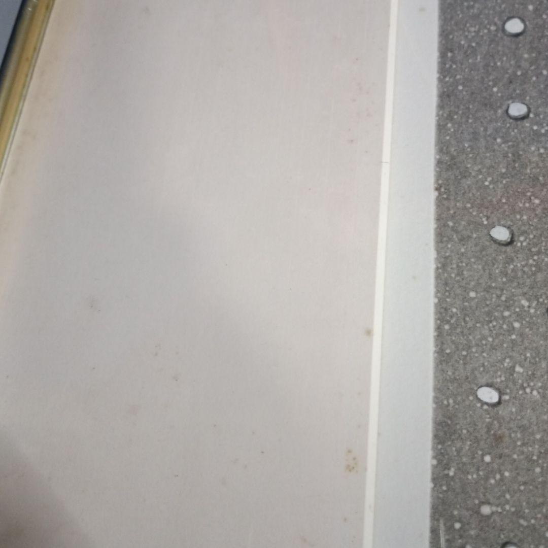 5669)デリア・レイス 版画「Winter Vacation」22/30