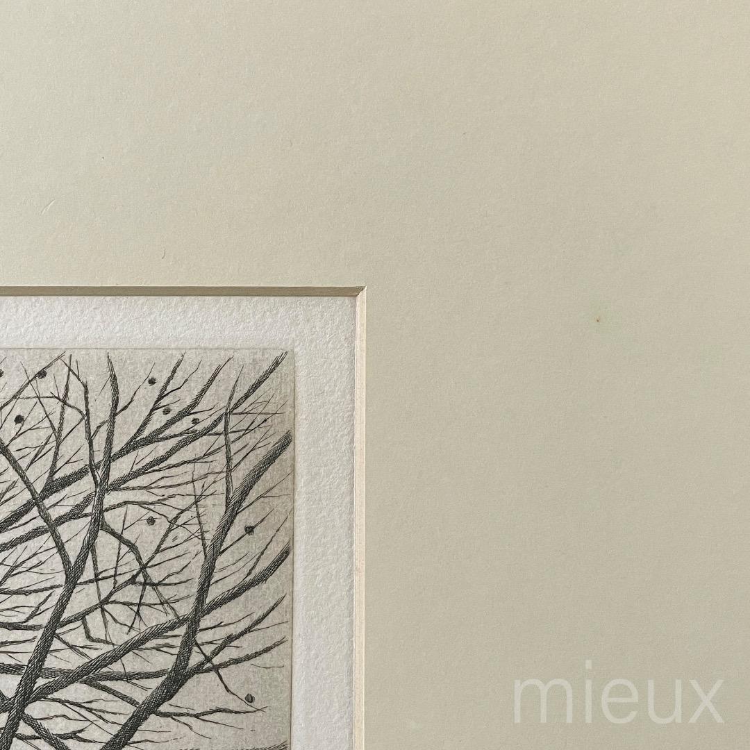 木村茂「立枯木 F」エッチング 額付 サイン入り 中古 美品 木村茂