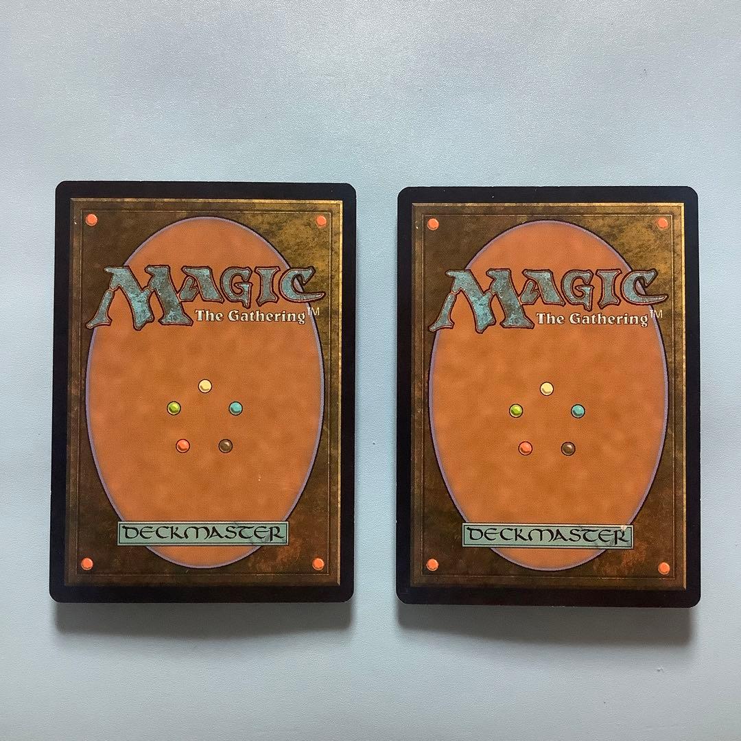 *バラ売り可*  神聖なる泉　 DIS日本語2枚セット