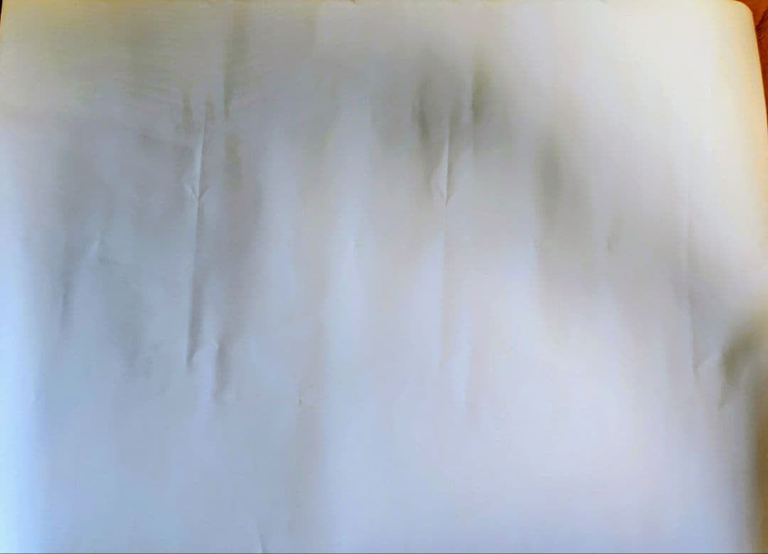 Mrs. GREEN APPLE「WanteD! WanteD!」ポスター