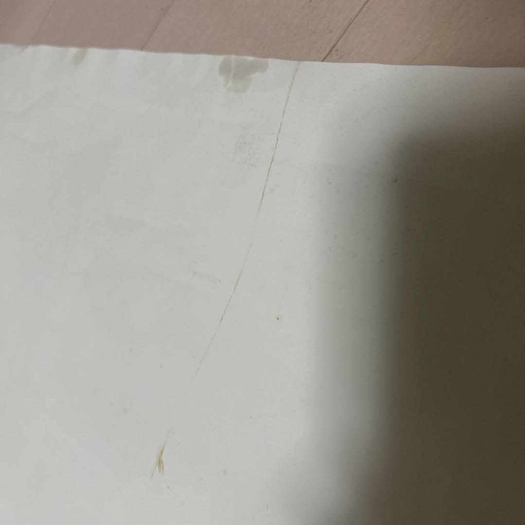 Mrs. GREEN APPLE Progressive サイン入りポスター