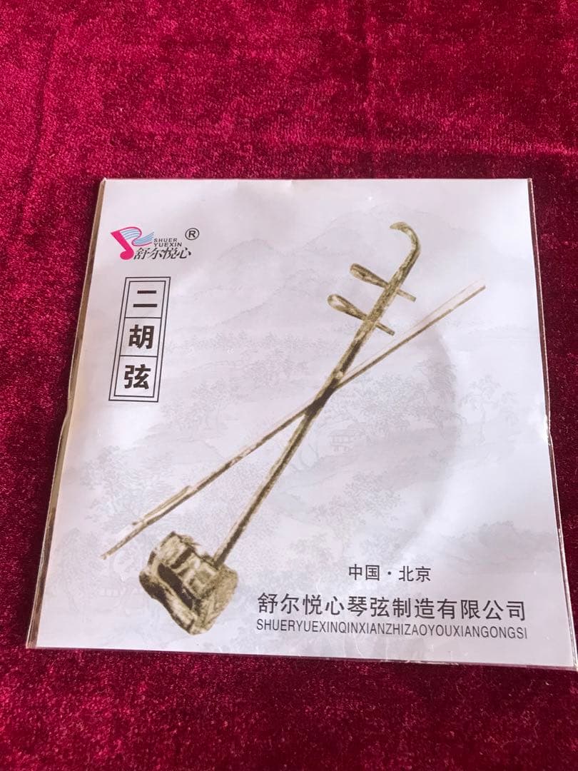 二胡★蛇本皮★初心者用★中古品★無傷