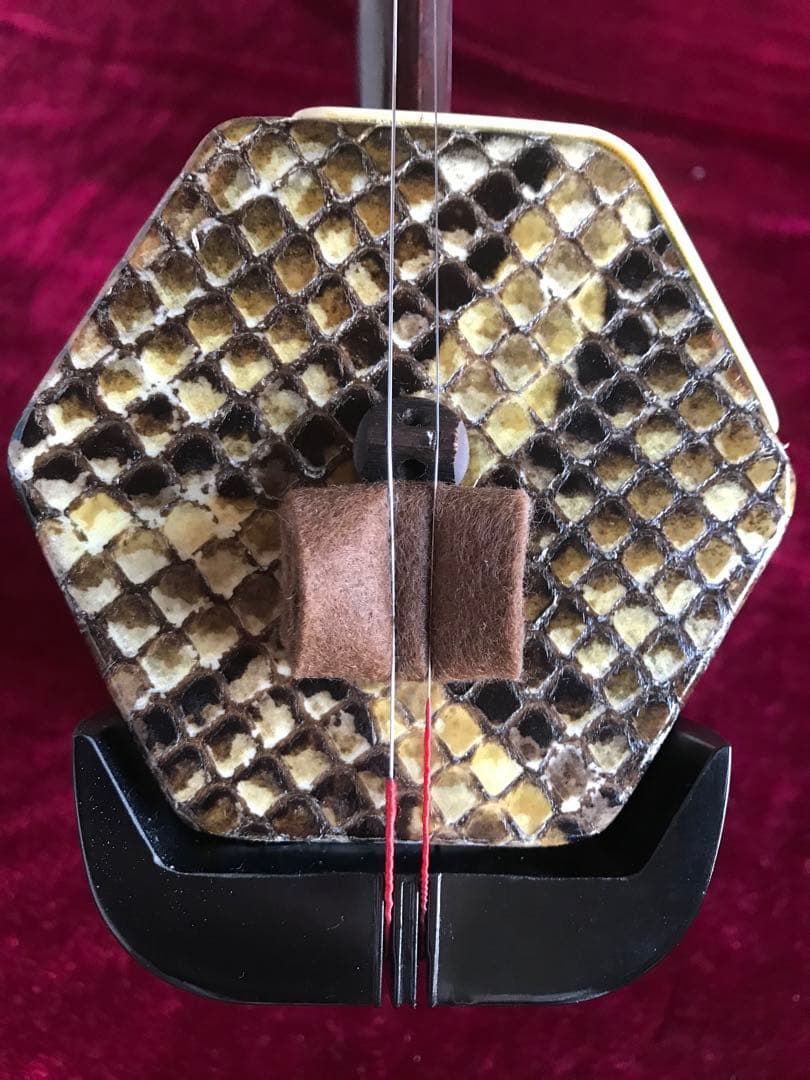 二胡★蛇本皮★初心者用★中古品★無傷