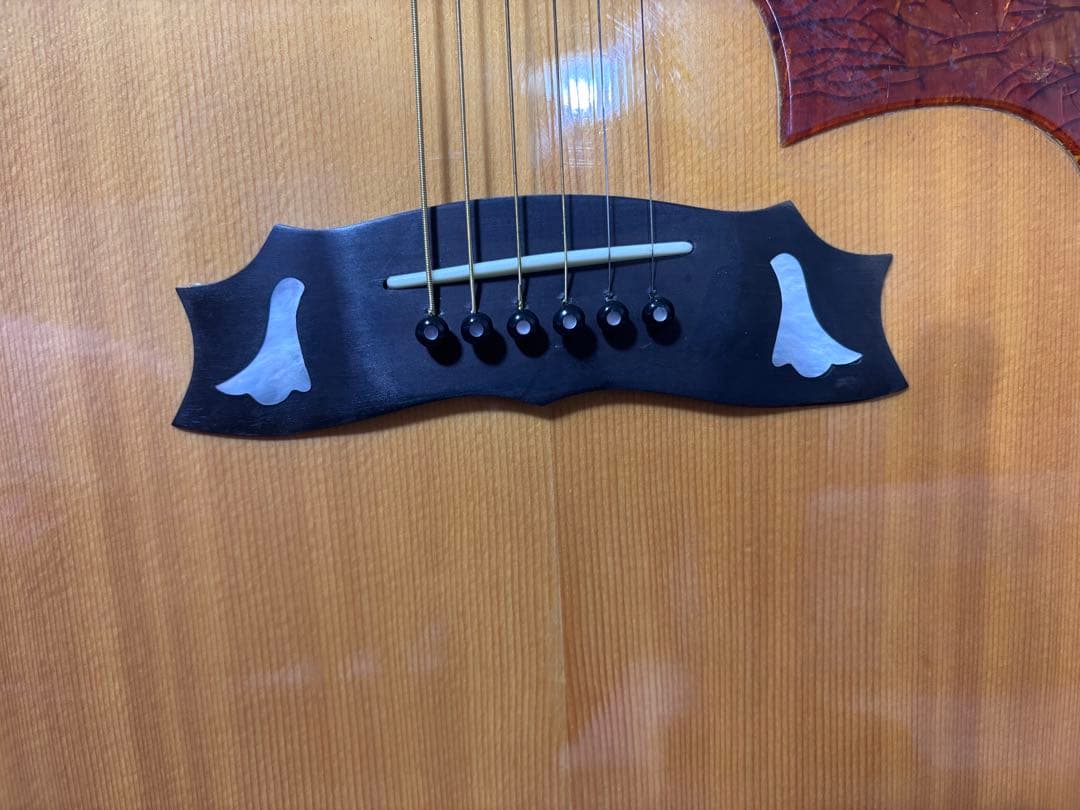 Morris MG-80オール単板 ジャパンビンテージ - メルカリ