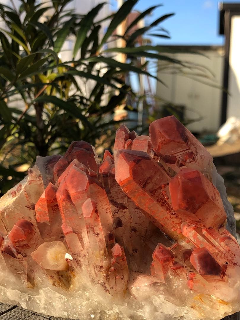 Borders様 リクエスト 10点 まとめ商品☆リピーターまとめ割適用