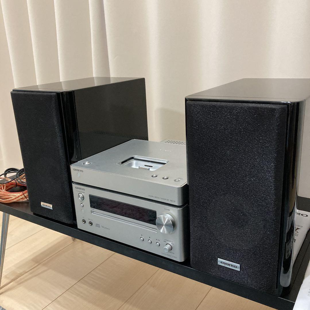 存在感バツグン！巨大型巻き貝トウカムリ貝 千年貝 オブジェ長30cm重さ