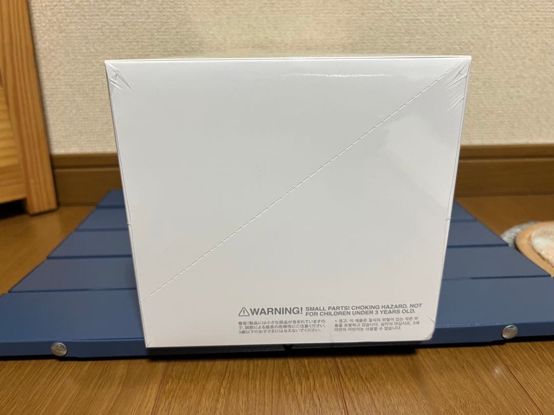 未開封・正規品　ラブブ Big into Energy アソートボックス 1箱