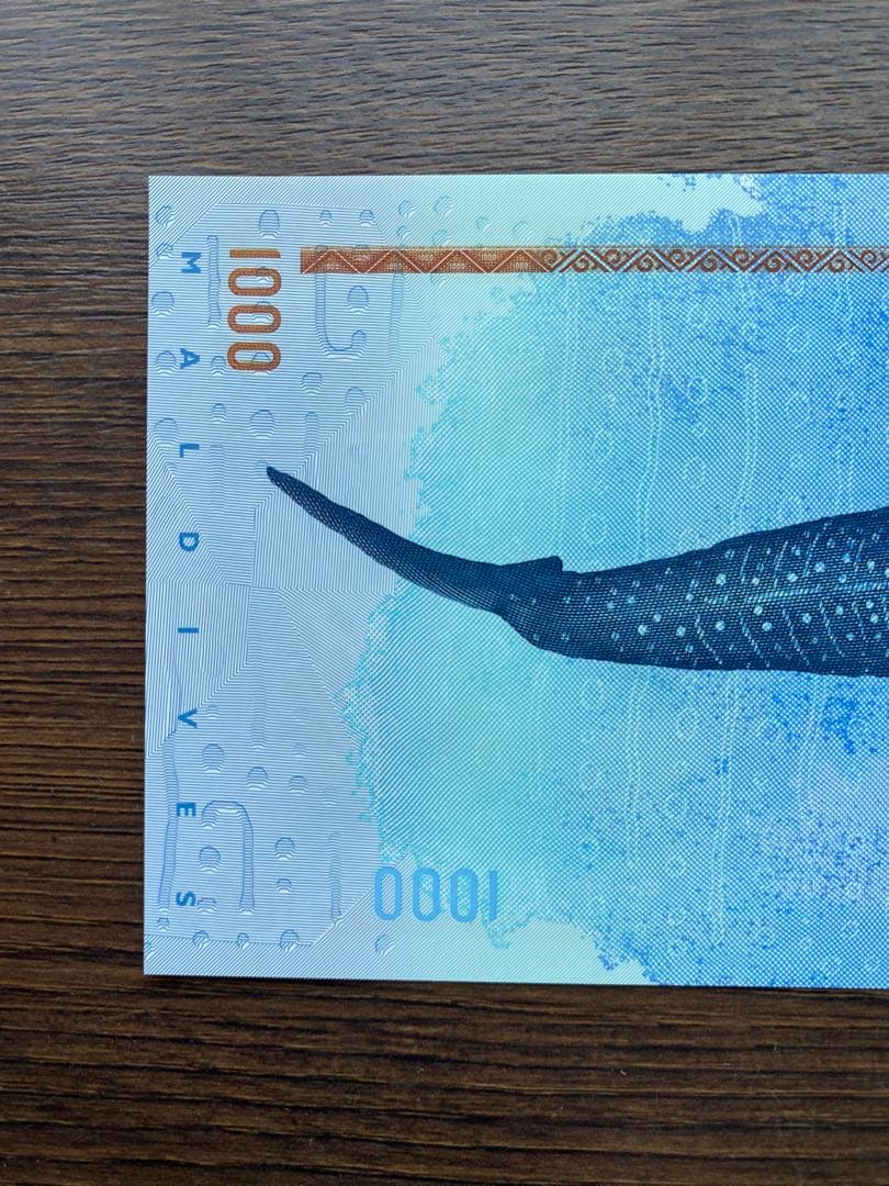 モルディブ紙幣1000ルフィヤ