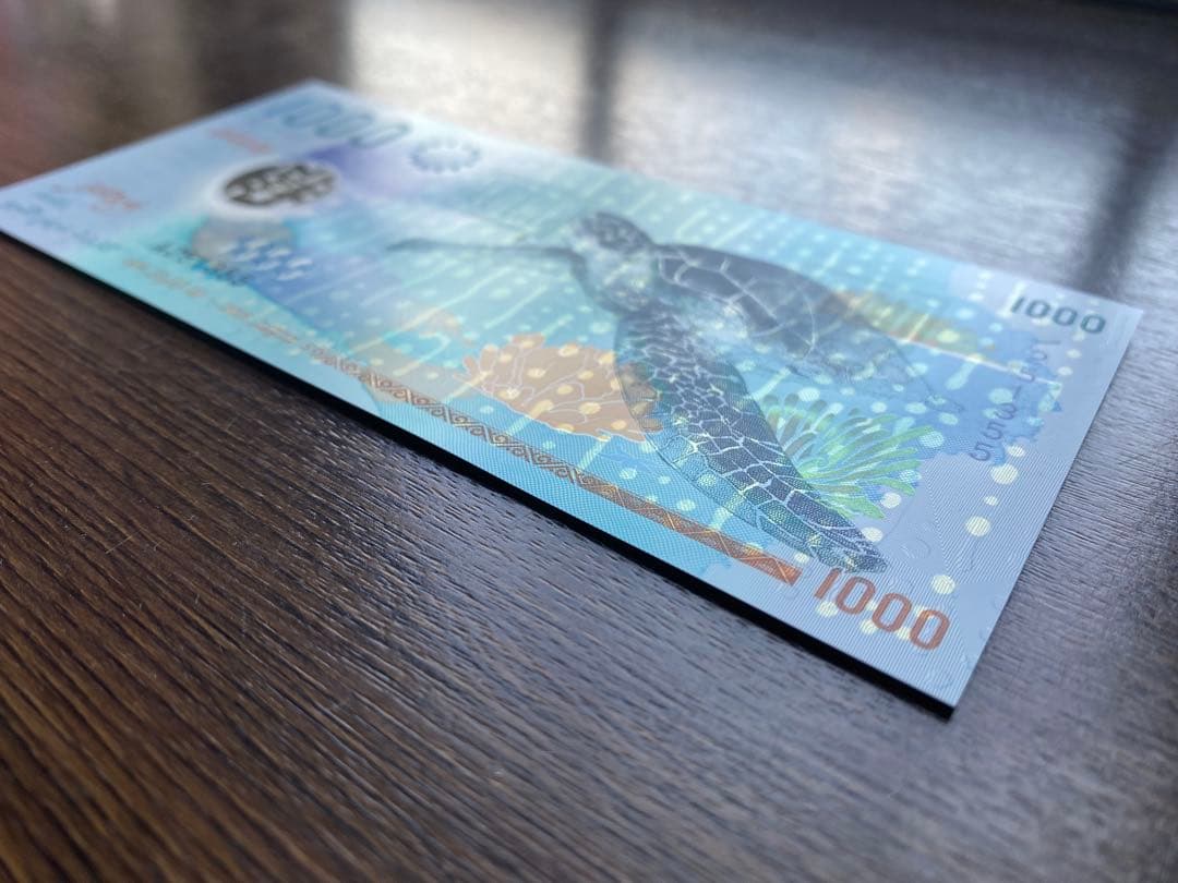 モルディブ紙幣1000ルフィヤ