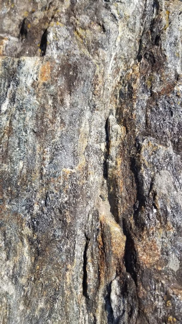 希少原石 大型 結晶片岩 シスト 庭石 ロックガーデン ガーデニング