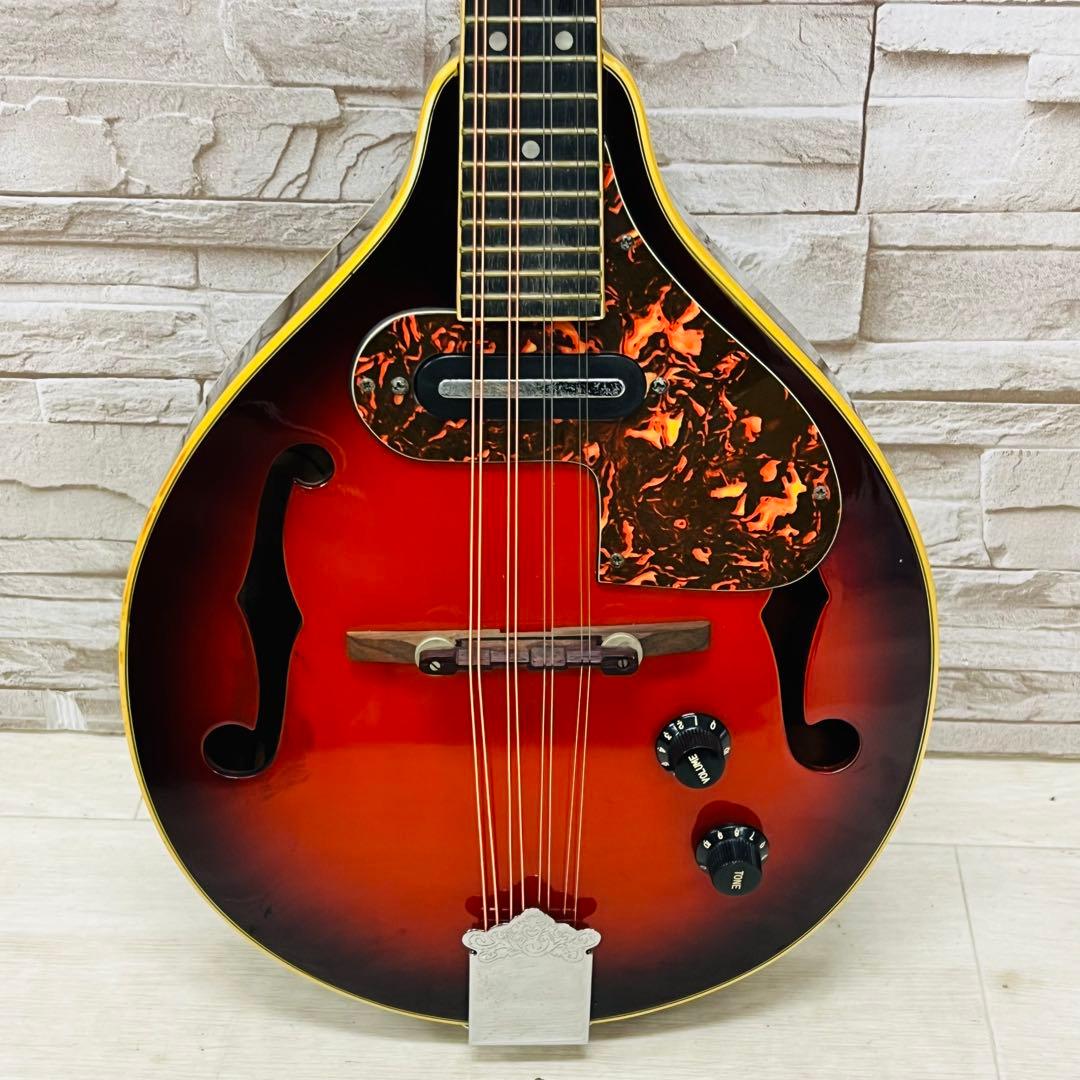 Samick サミック PU搭載 エレキフラットマンドリン