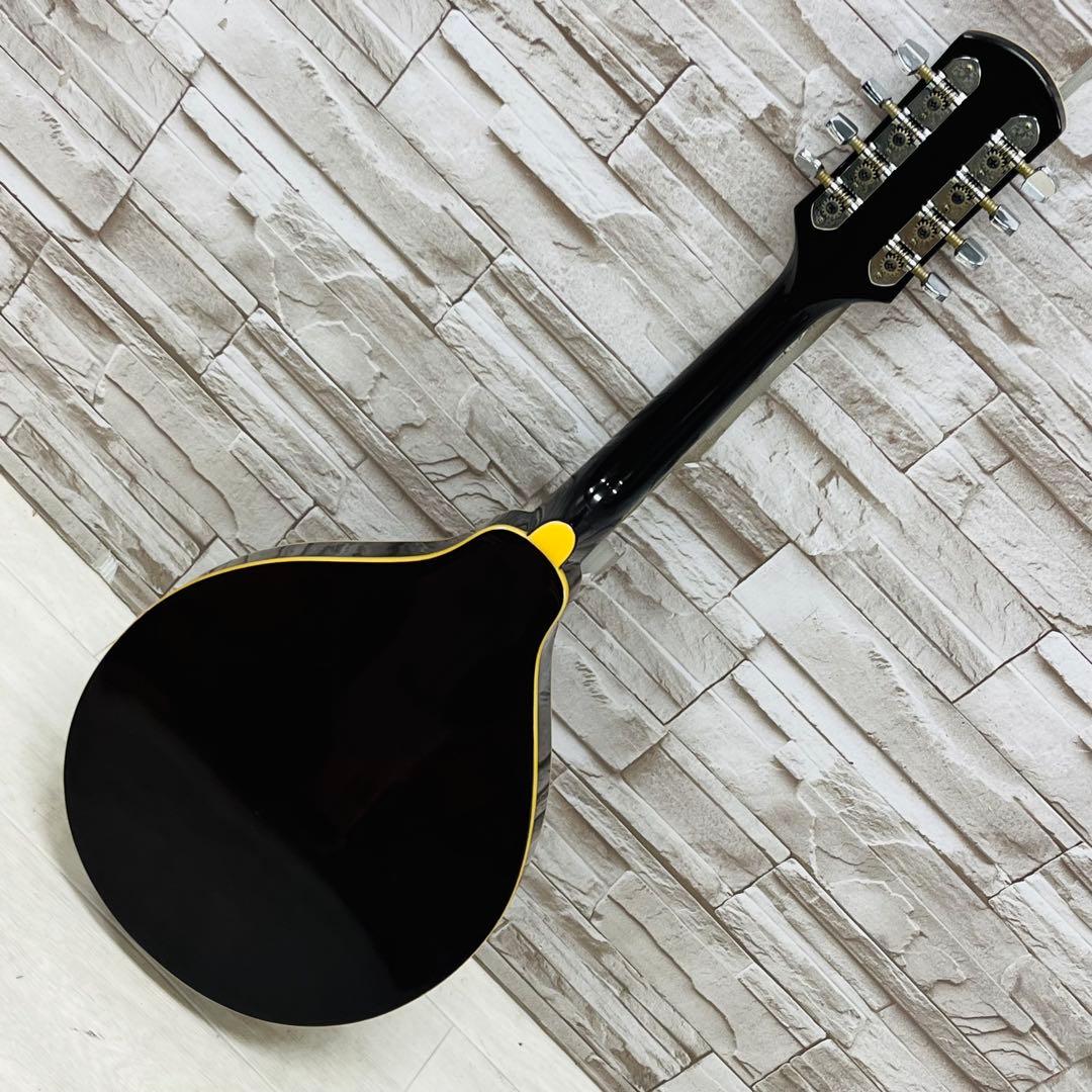 Samick サミック PU搭載 エレキフラットマンドリン