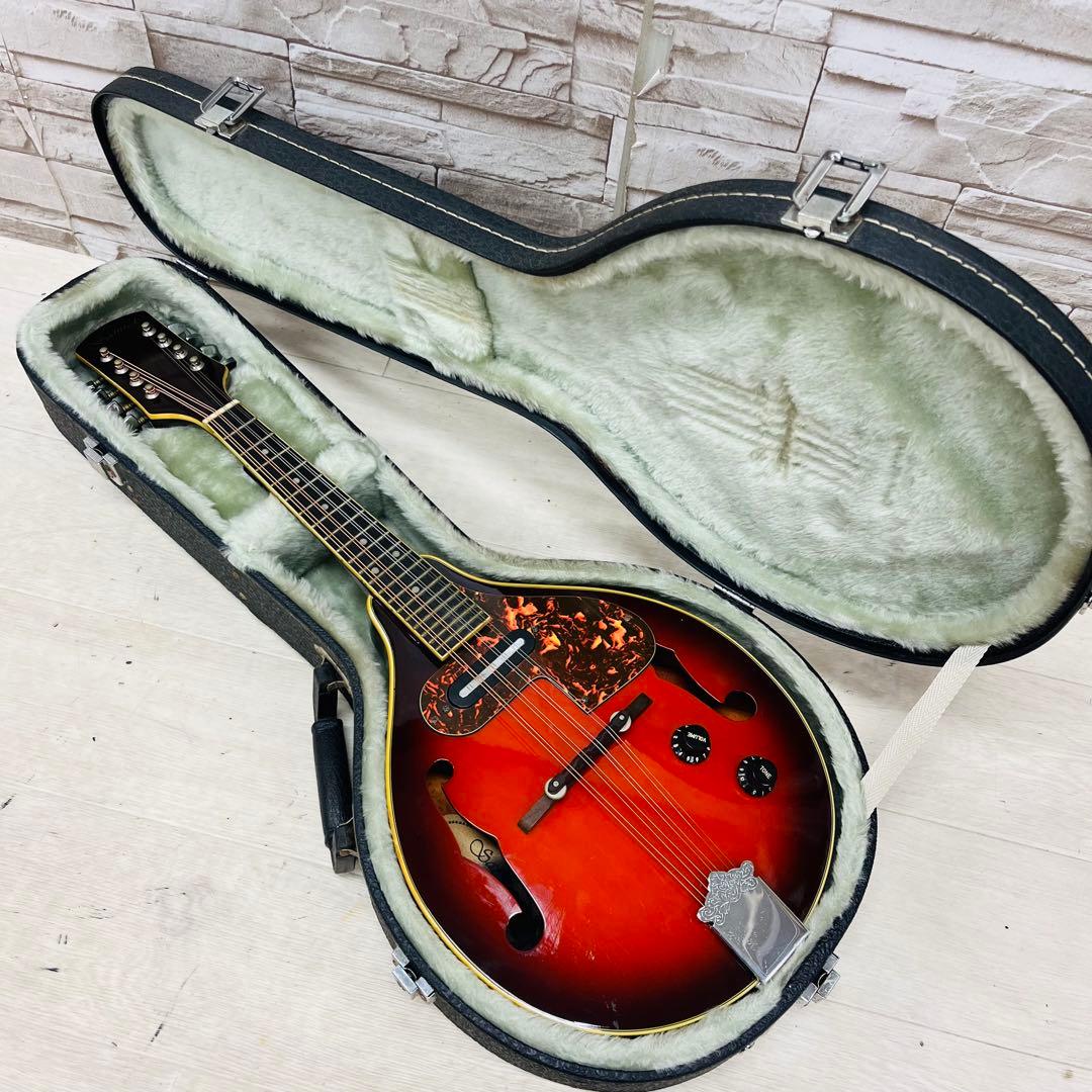 Samick サミック PU搭載 エレキフラットマンドリン