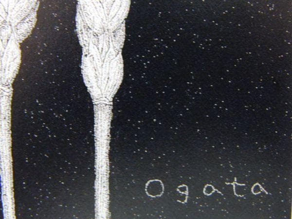 緒方洪章、【麦】、希少な額装用画集より、新品額装付、状態良好