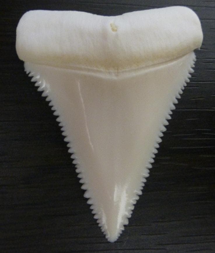 中国古美術・旧蔵品 宋代 官窑 冰裂纹斗笠碗（広口碗）・置物・茶道具