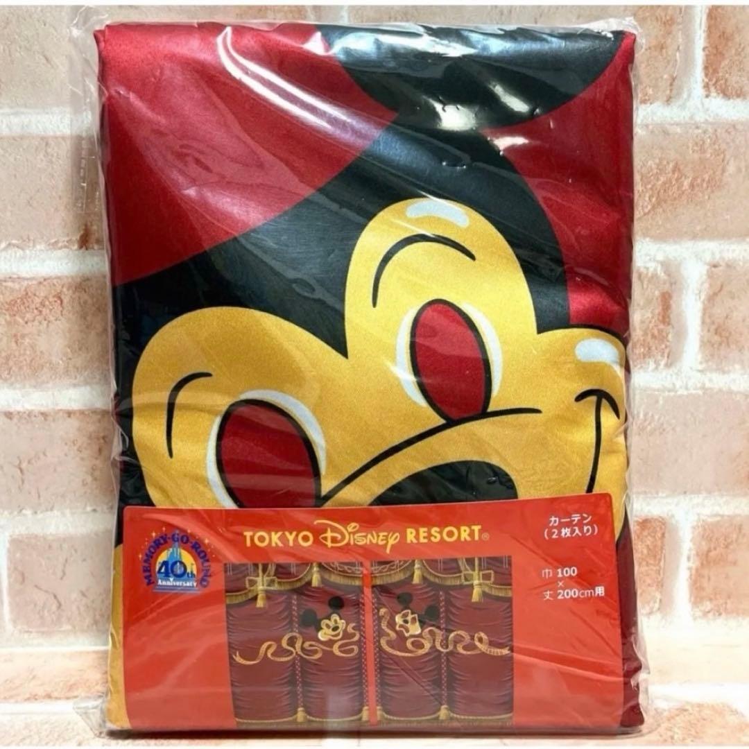 ディズニー メモリーゴーラウンド カーテン 40周年