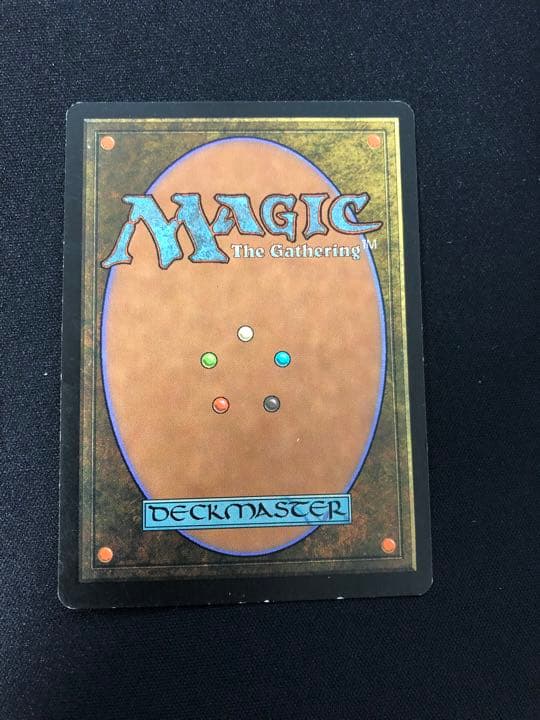 アカデミーの学長/Academy Rector