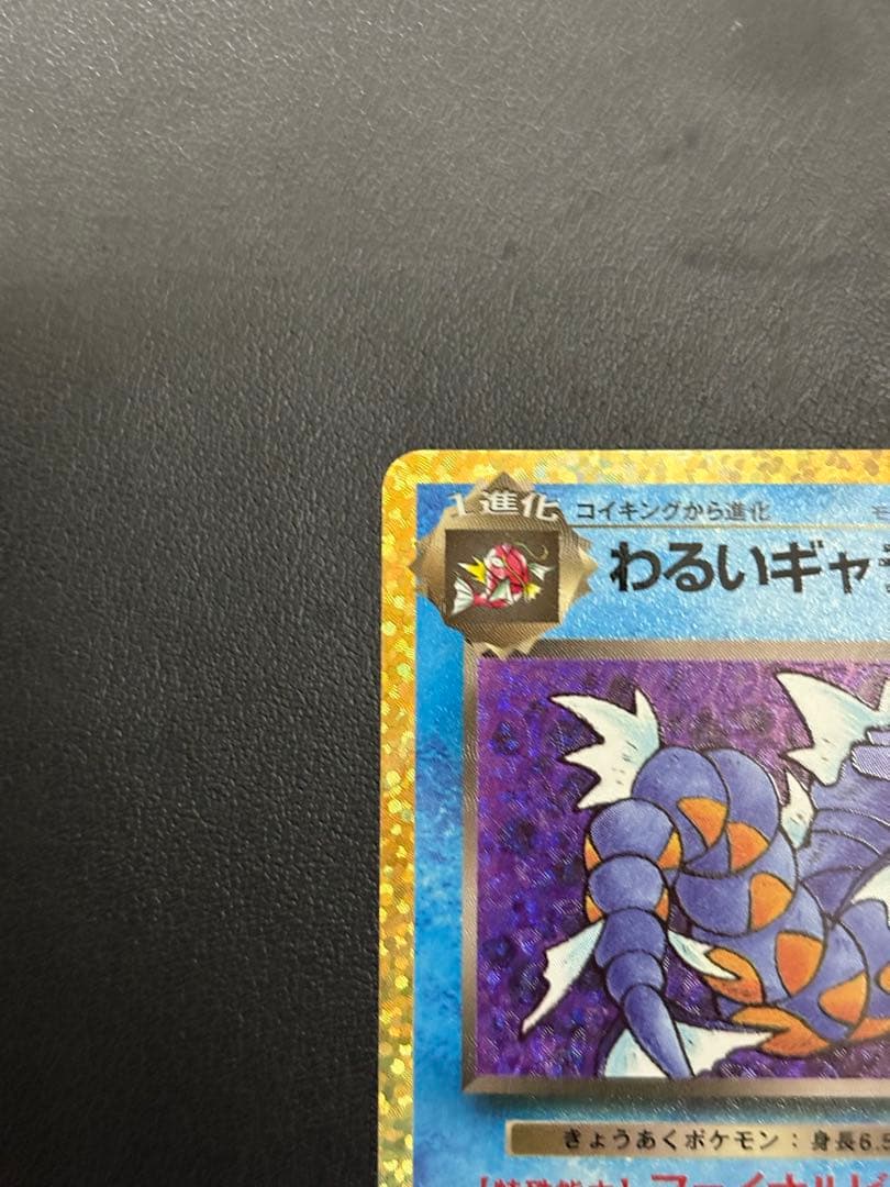 【美品】わるいギャラドス プロモカードパック 25th ポケモンカード
