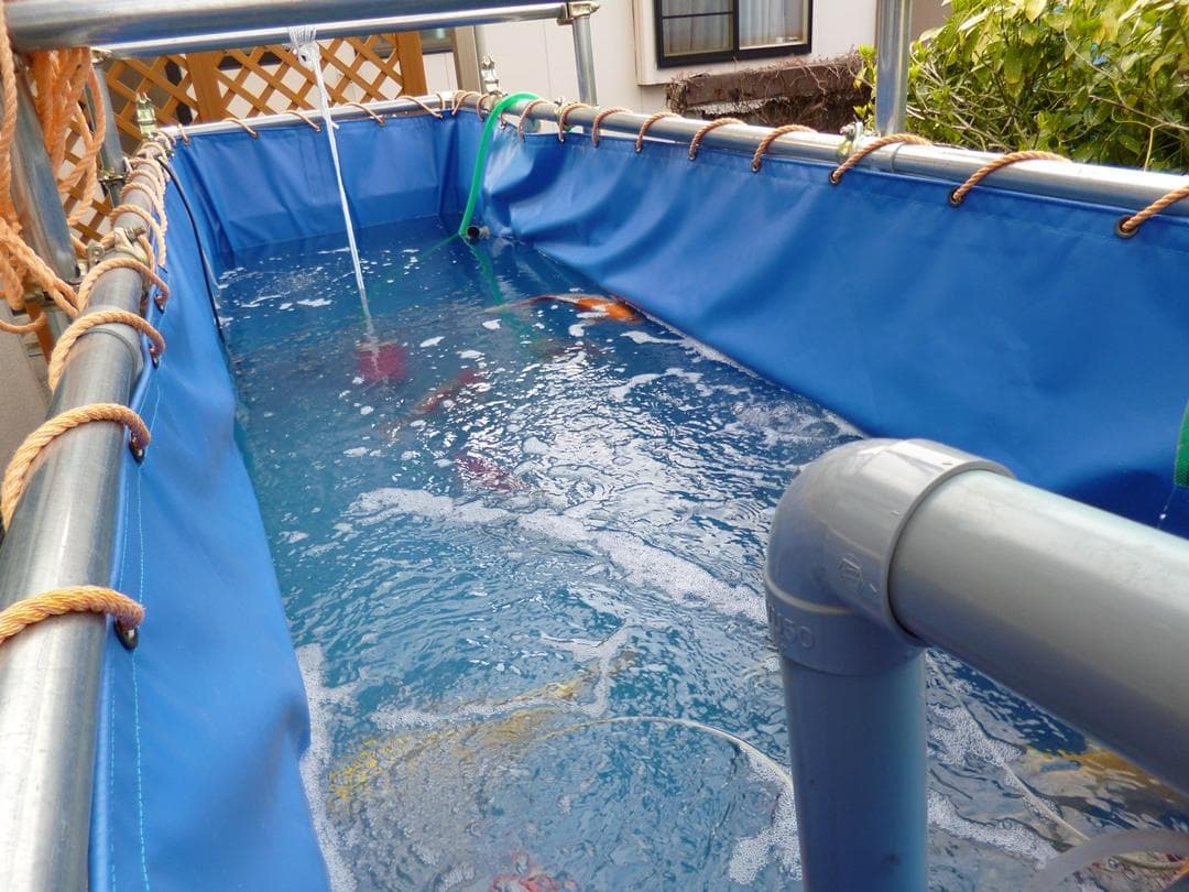 引取限定】錦鯉用ターポリンシート池（330cm×100cm×120cm 中古）