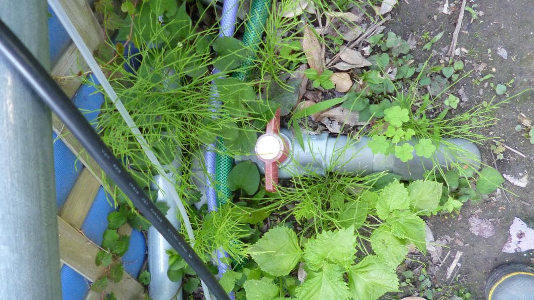 引取限定】錦鯉用ターポリンシート池（330cm×100cm×120cm 中古）