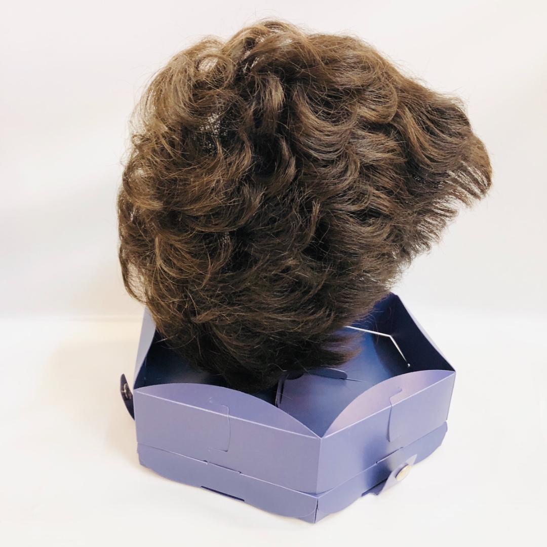 FONTAINE　フォンテーヌ　ウィッグ　ショート　ブラウン　「4620」