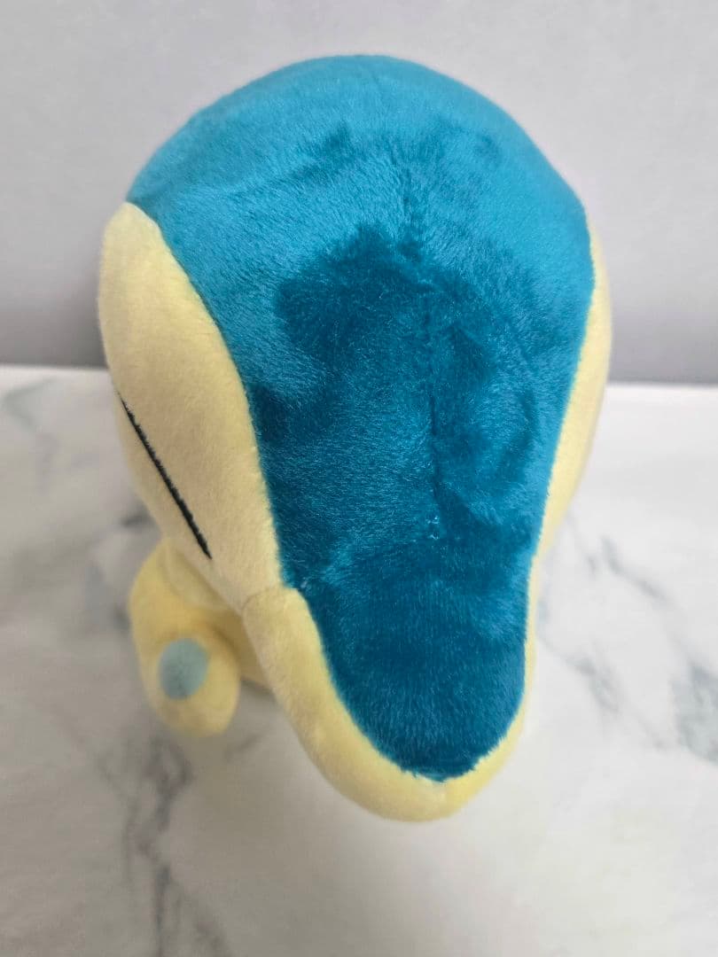 ヒノアラシドール　ポケセン